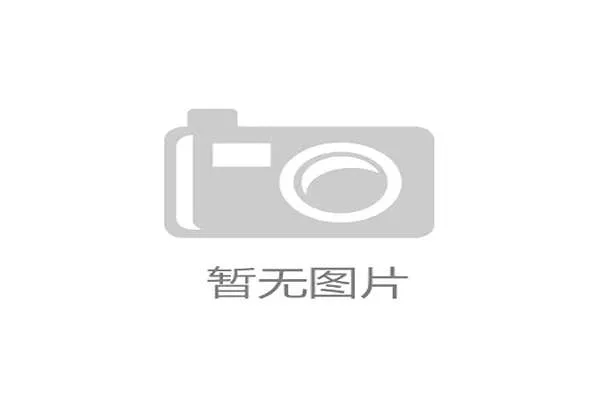 葡萄牙世界杯赛事表现与战术体系及晋级前景深度解析全面研究